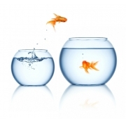 Обратный осмос для Аквариума