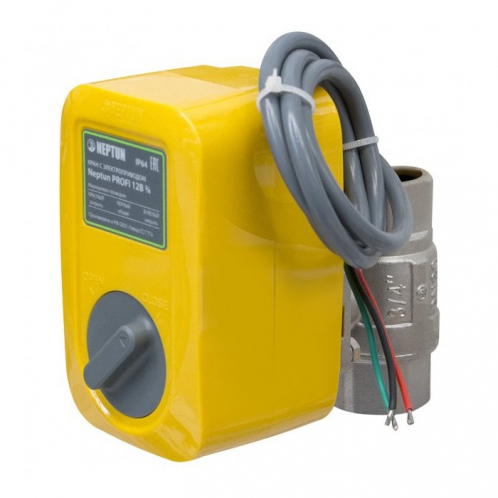 Кран с электроприводом Neptun PROFI 220В 1''