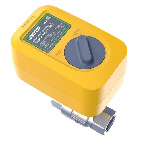 Кран с электроприводом Neptun PROFI 220В 1''