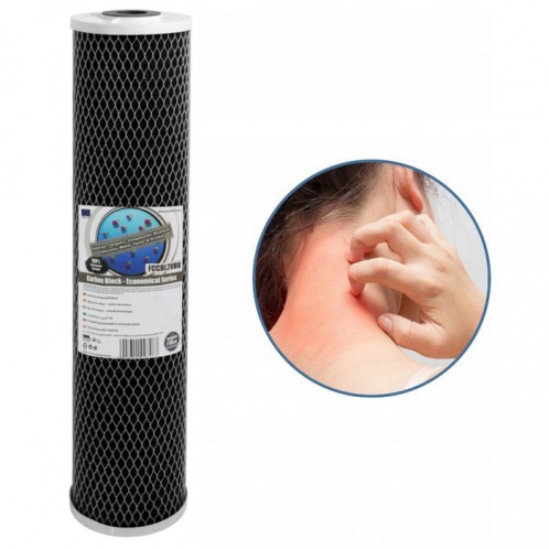 Фільтр магістральний від хлору Aquafilter FH20B1-B-WB + Aquafilter FCCBL20B