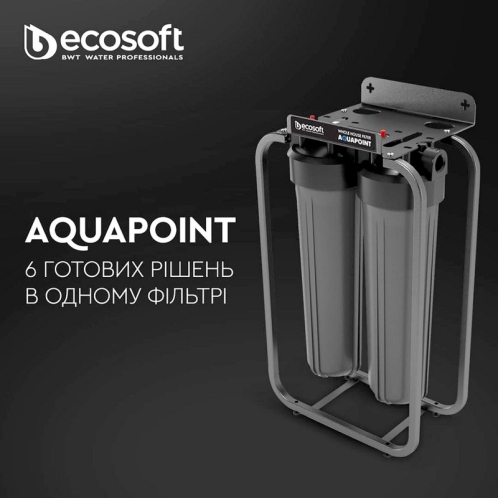 Фильтр для воды Ecosoft AquaPoint (FPV24520SECOSTD)