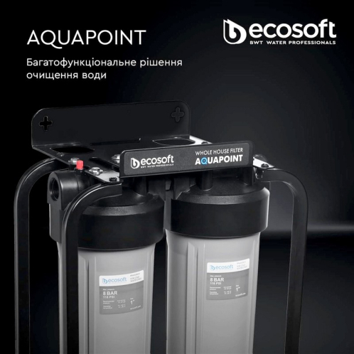 Фильтр для воды Ecosoft AquaPoint (FPV24520SECOSTD)