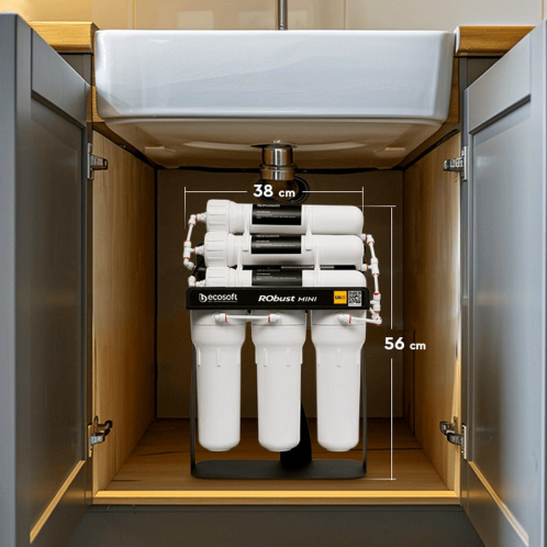 Фильтр обратного осмоса Ecosoft RObust Mini (ROBUST1000STD)