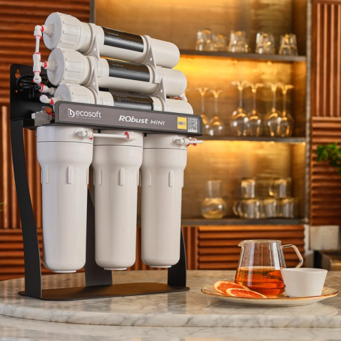 Фильтр обратного осмоса Ecosoft RObust Mini (ROBUST1000STD)